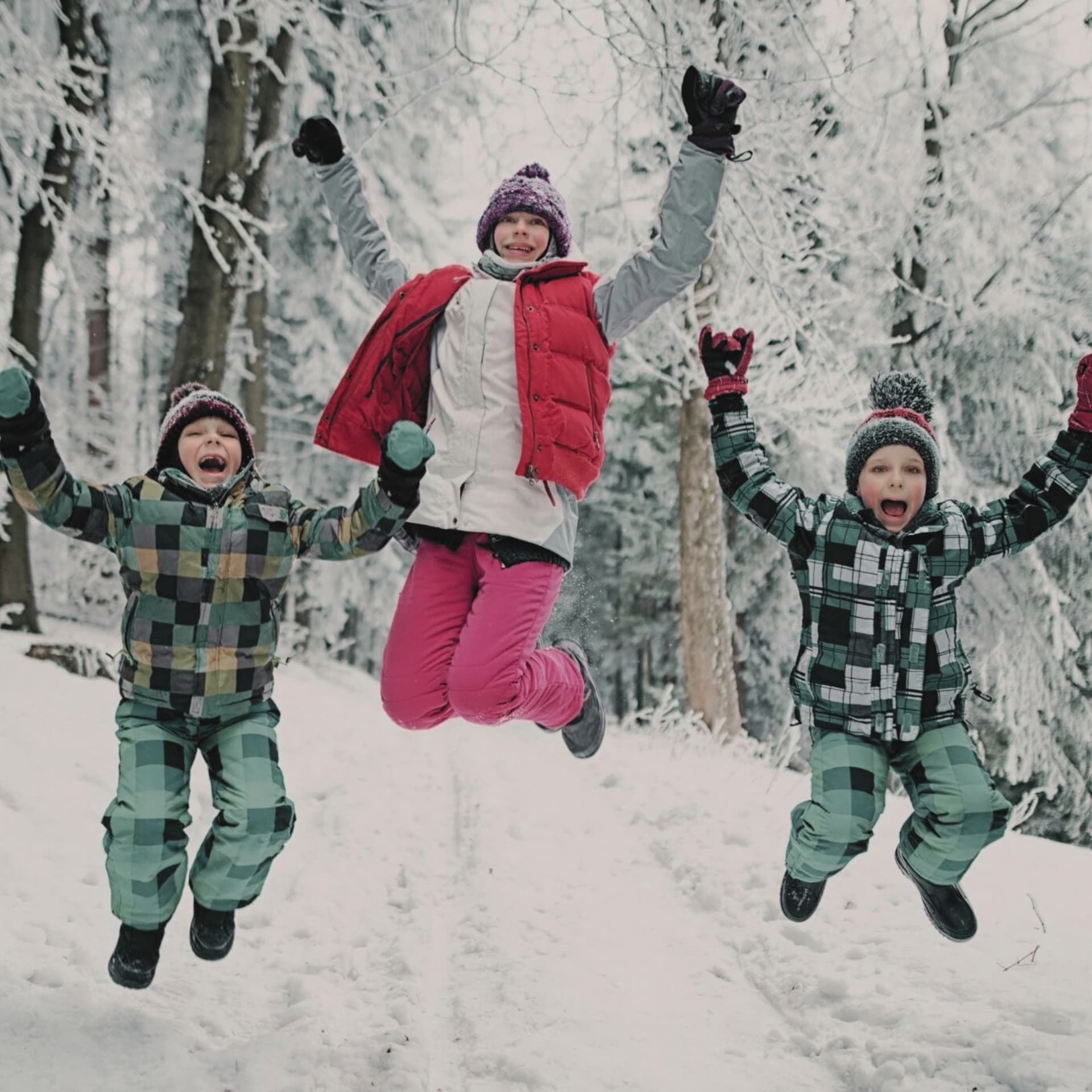 Family Home Swaps